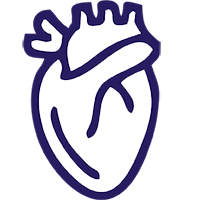 Электрокардиография 12 канальная с расшифровкой AI