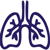 Спирометрия (функция легких, ХОБЛ) с расшифровкой AI